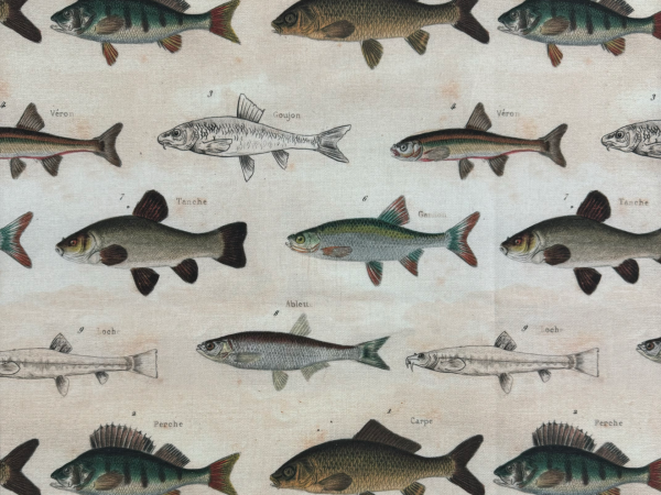 Schwere Baumwolle Fische Bunt Nr 4778